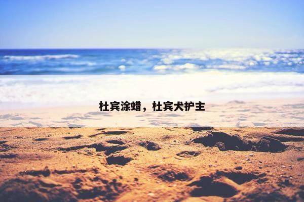 杜宾涂蜡，杜宾犬护主