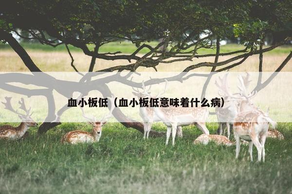 血小板低（血小板低意味着什么病）