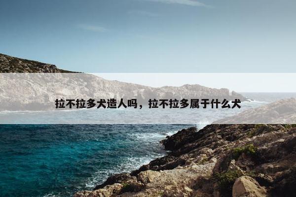 拉不拉多犬造人吗，拉不拉多属于什么犬
