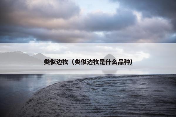 类似边牧（类似边牧是什么品种）