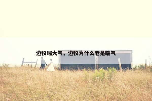边牧喘大气，边牧为什么老是喘气