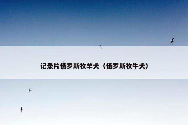 记录片俄罗斯牧羊犬（俄罗斯牧牛犬）