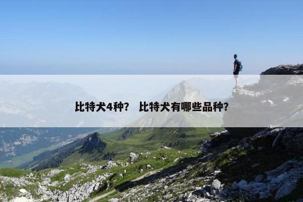 比特犬4种？ 比特犬有哪些品种？