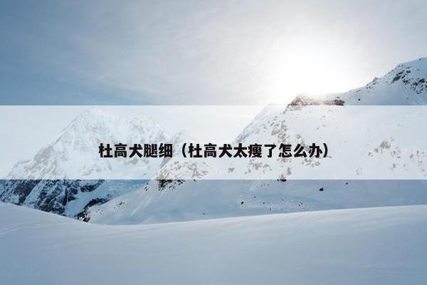 杜高犬腿细（杜高犬太瘦了怎么办）
