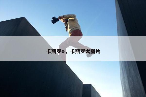 卡斯罗o，卡斯罗犬图片