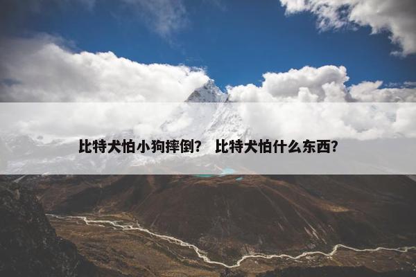 比特犬怕小狗摔倒？ 比特犬怕什么东西？