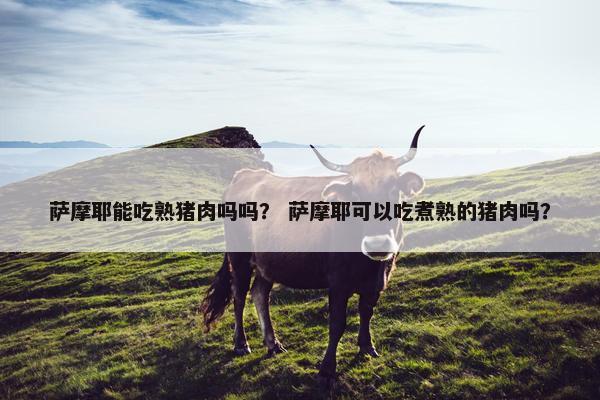 萨摩耶能吃熟猪肉吗吗？ 萨摩耶可以吃煮熟的猪肉吗？