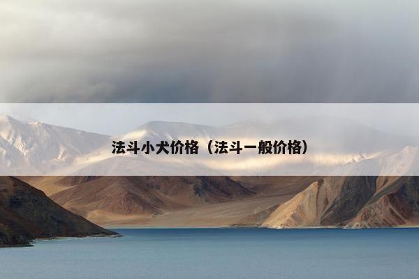 法斗小犬价格（法斗一般价格）