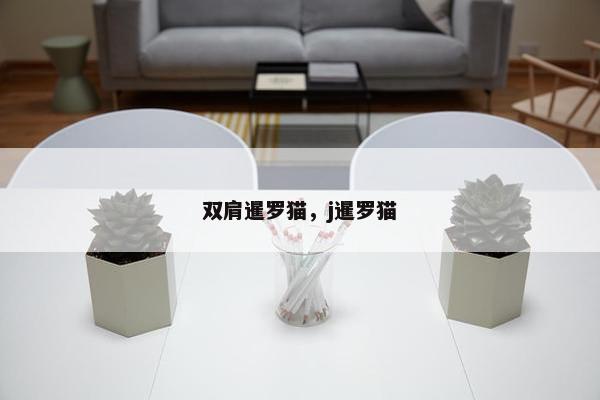 双肩暹罗猫，j暹罗猫