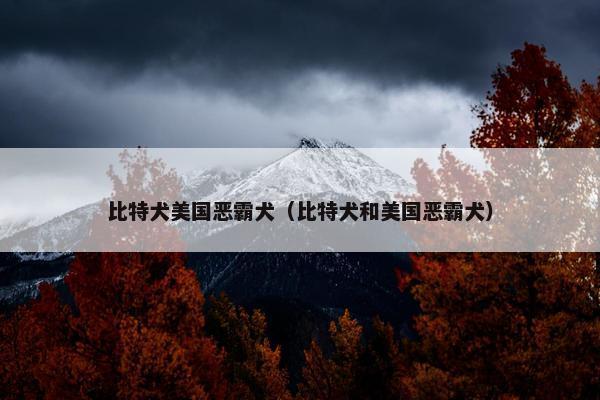 比特犬美国恶霸犬（比特犬和美国恶霸犬）