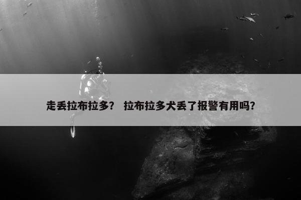 走丢拉布拉多？ 拉布拉多犬丢了报警有用吗？