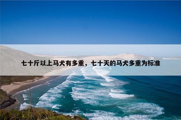 七十斤以上马犬有多重，七十天的马犬多重为标准
