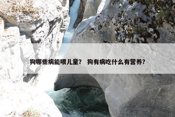狗哪些病能喂儿童？ 狗有病吃什么有营养？