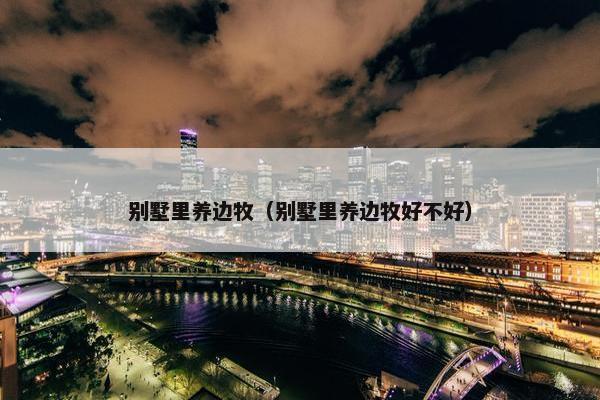 别墅里养边牧（别墅里养边牧好不好）