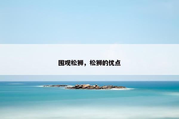 围观松狮，松狮的优点