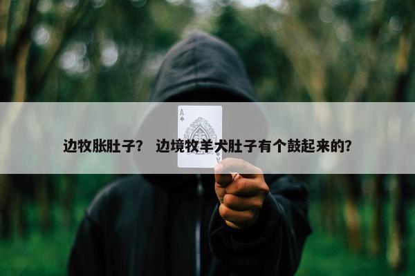 边牧胀肚子？ 边境牧羊犬肚子有个鼓起来的？