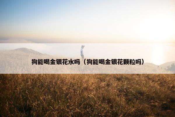 狗能喝金银花水吗（狗能喝金银花颗粒吗）