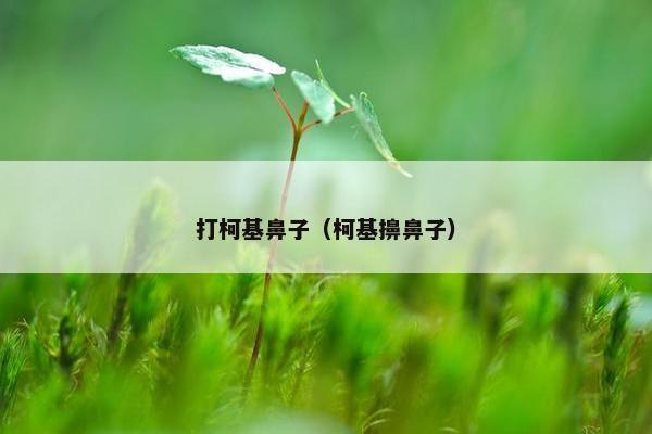 打柯基鼻子（柯基擤鼻子）