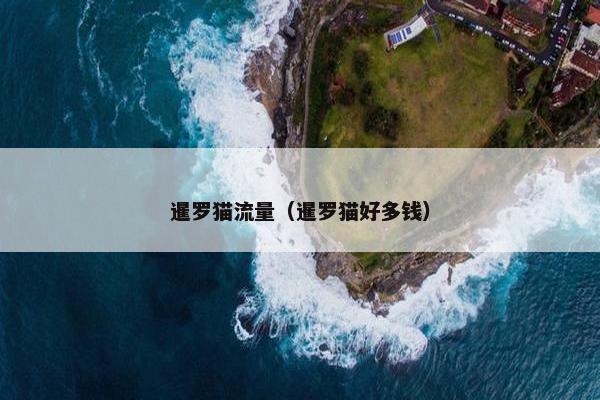 暹罗猫流量（暹罗猫好多钱）