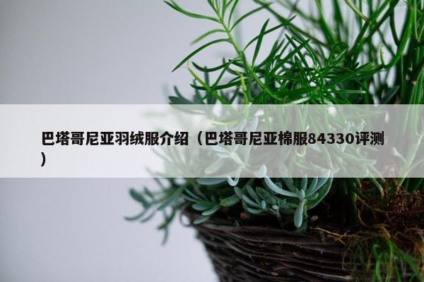 巴塔哥尼亚羽绒服介绍（巴塔哥尼亚棉服84330评测）
