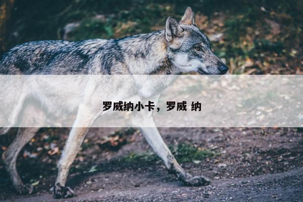 罗威纳小卡，罗威 纳