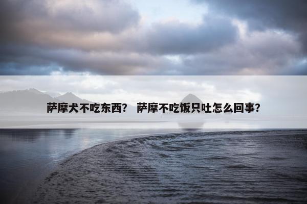 萨摩犬不吃东西？ 萨摩不吃饭只吐怎么回事？