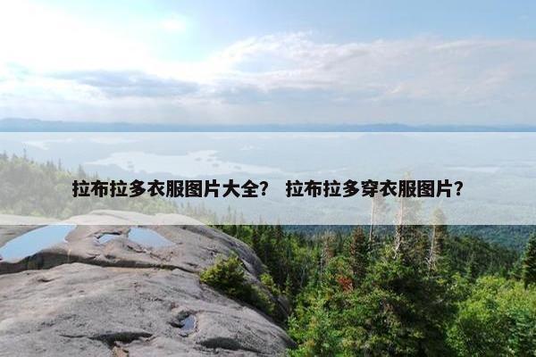 拉布拉多衣服图片大全？ 拉布拉多穿衣服图片？