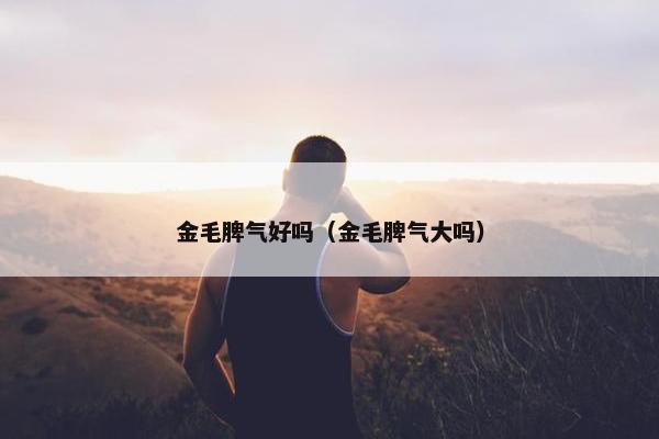 金毛脾气好吗（金毛脾气大吗）