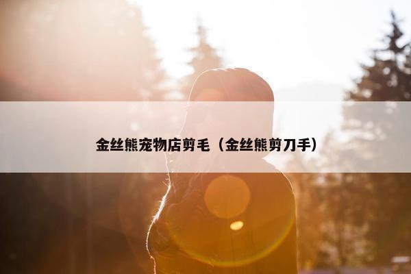 金丝熊宠物店剪毛（金丝熊剪刀手）
