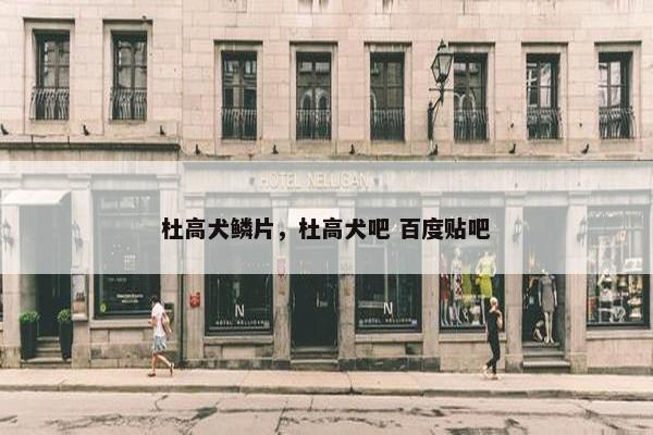 杜高犬鳞片，杜高犬吧 百度贴吧
