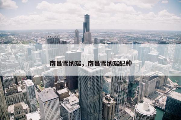 南昌雪纳瑞，南昌雪纳瑞配种