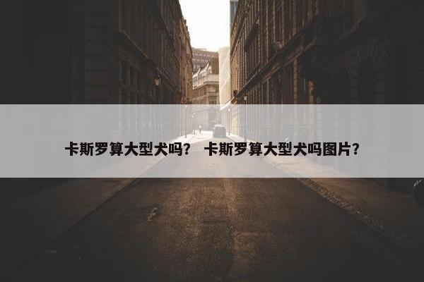 卡斯罗算大型犬吗？ 卡斯罗算大型犬吗图片？