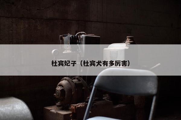 杜宾妃子（杜宾犬有多厉害）