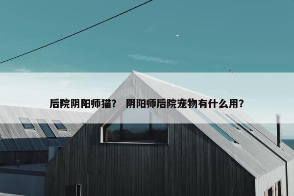 后院阴阳师猫？ 阴阳师后院宠物有什么用？