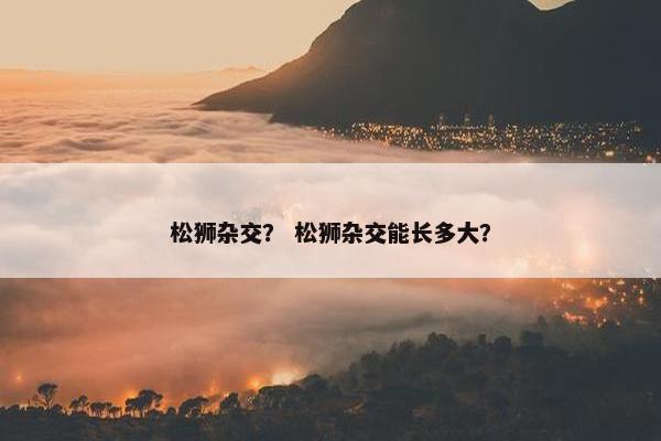 松狮杂交？ 松狮杂交能长多大？