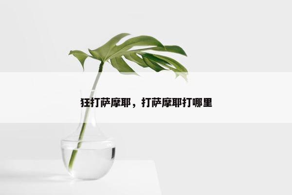 狂打萨摩耶，打萨摩耶打哪里