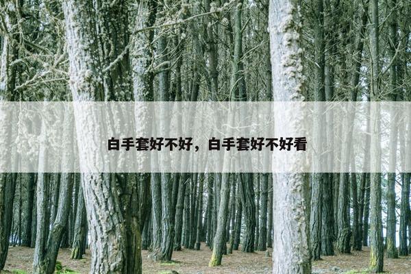 白手套好不好，白手套好不好看