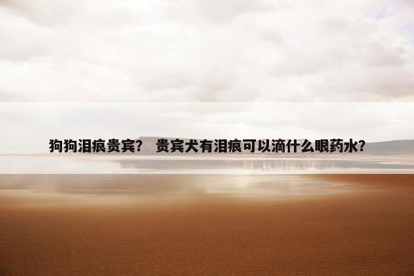 狗狗泪痕贵宾？ 贵宾犬有泪痕可以滴什么眼药水？