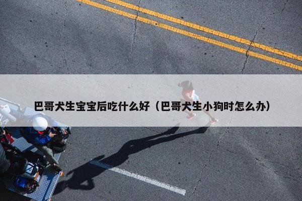 巴哥犬生宝宝后吃什么好（巴哥犬生小狗时怎么办）