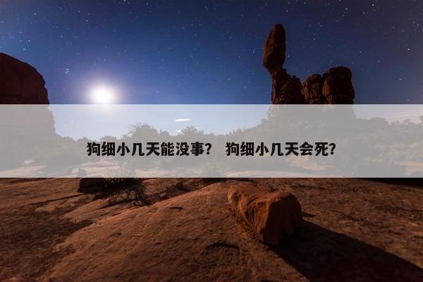 狗细小几天能没事？ 狗细小几天会死？