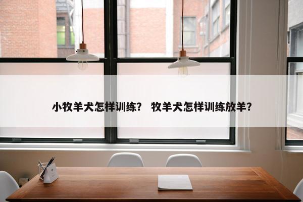 小牧羊犬怎样训练？ 牧羊犬怎样训练放羊？