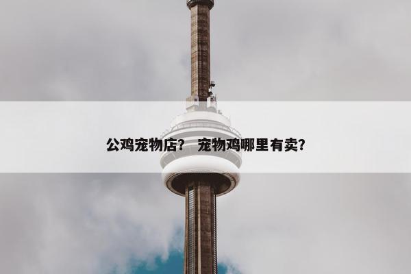 公鸡宠物店？ 宠物鸡哪里有卖？