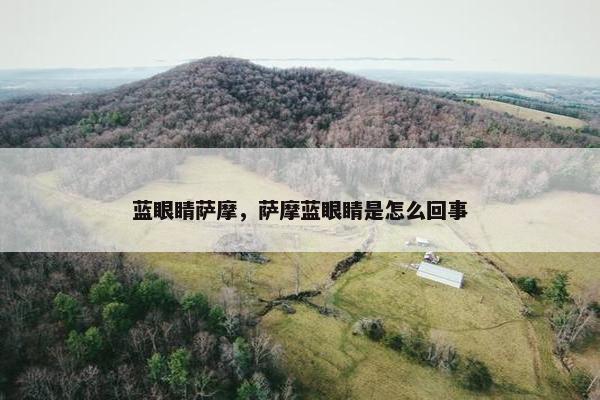 蓝眼睛萨摩，萨摩蓝眼睛是怎么回事