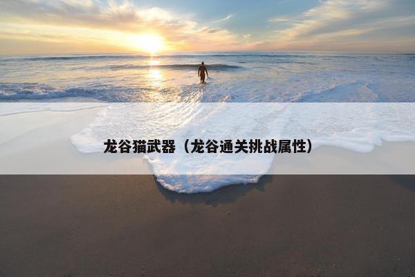 龙谷猫武器（龙谷通关挑战属性）