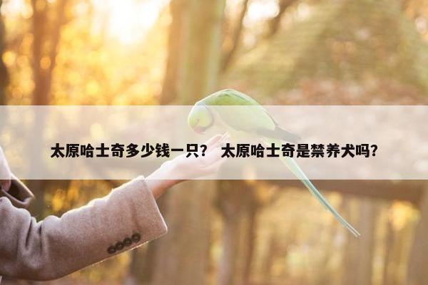 太原哈士奇多少钱一只？ 太原哈士奇是禁养犬吗？