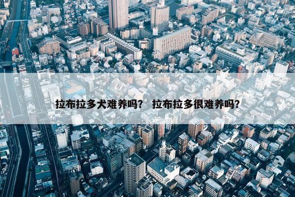 拉布拉多犬难养吗？ 拉布拉多很难养吗？