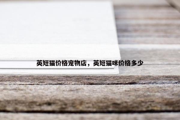 英短猫价格宠物店，英短猫咪价格多少