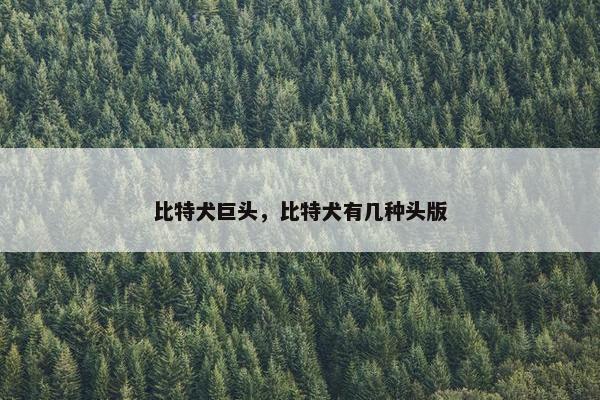 比特犬巨头，比特犬有几种头版