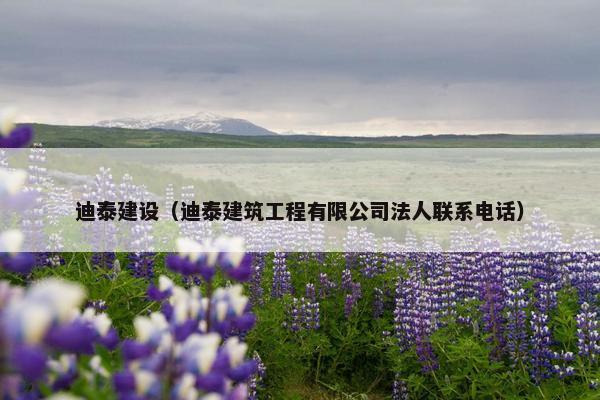 迪泰建设（迪泰建筑工程有限公司法人联系电话）