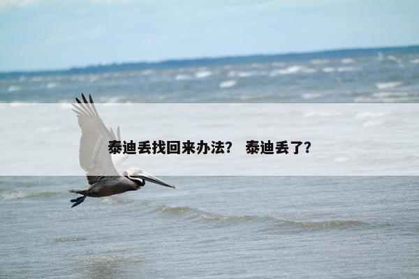泰迪丢找回来办法？ 泰迪丢了？